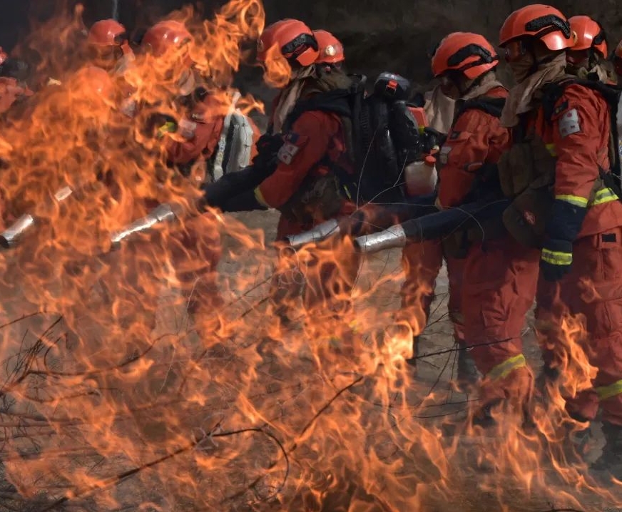 省森防指召开全省森林草原防灭火事情视频聚会 安排目今和清明“五一”时代火灾防控事情